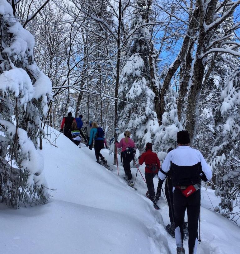 Chalets Alpins - 11 Chemin Des Skieurs Стоунхем Екстериор снимка